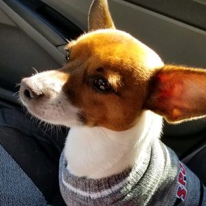 Meet your Posher, Meredith